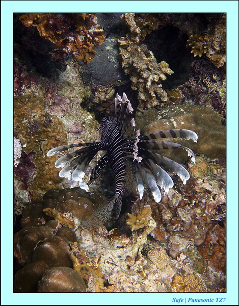 2012 - 07 - Palinton Sanctuary 19